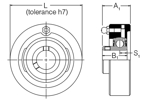 SLC20A