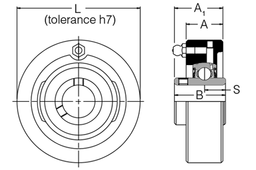 SLC45