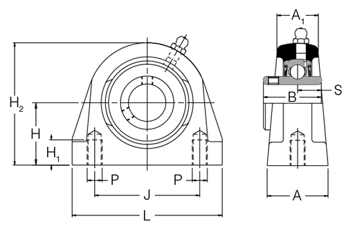 SNP35